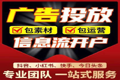 网络推广与竞价优化成功案例